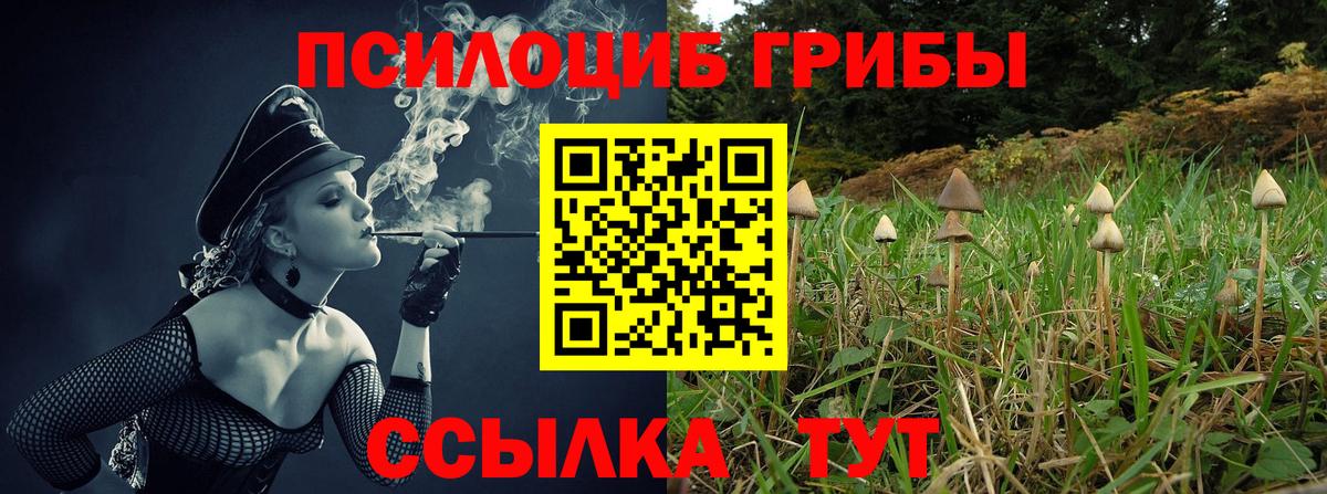 Галлюциногенные грибы прущие грибы Лянтор