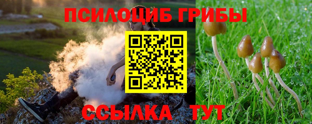 Галлюциногенные грибы Psilocybe  Вход с VPN  Лянтор  Псилоцибиновые грибы Psilocybe 